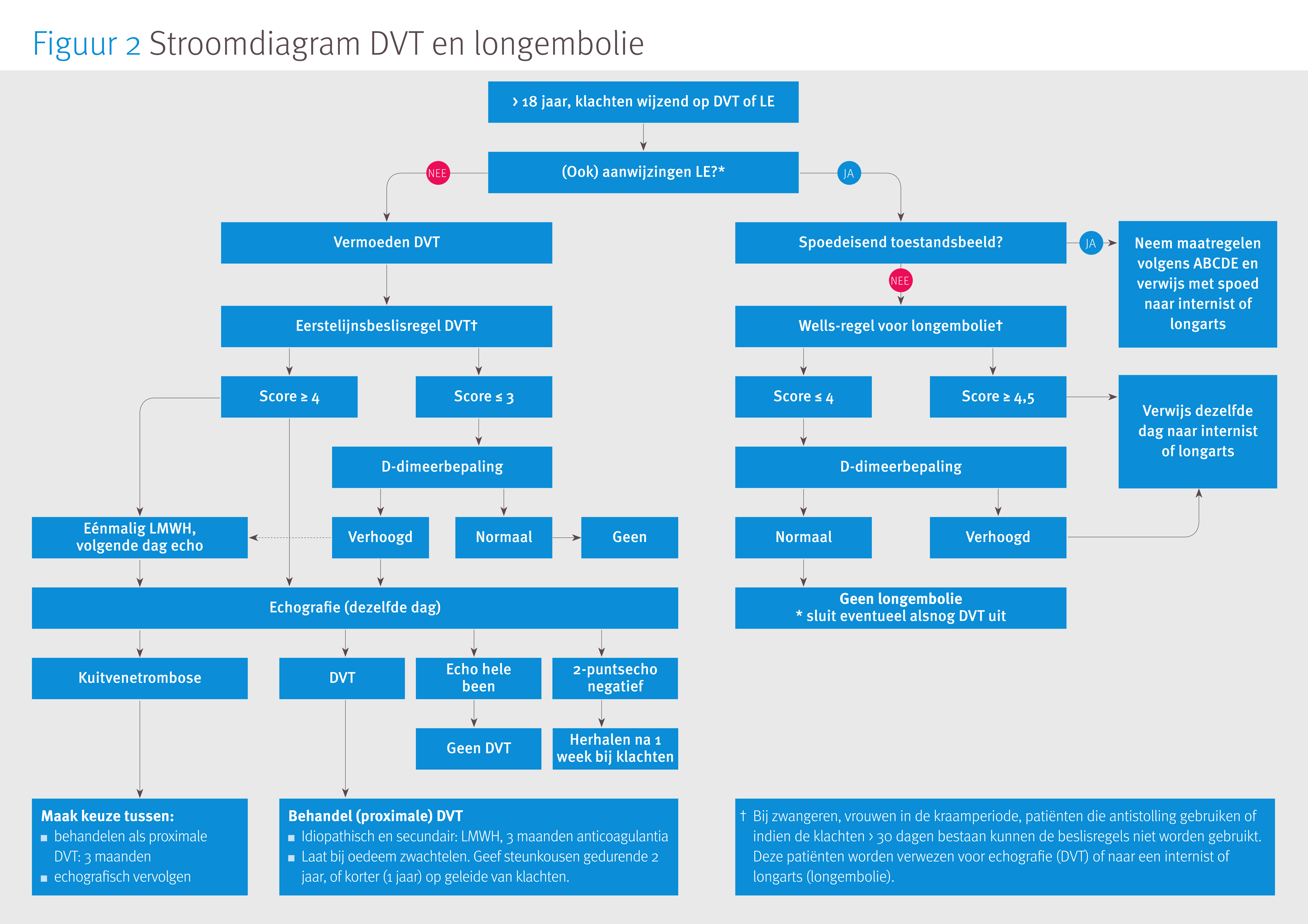 Diepveneuze trombose en longembolie | NHG-Richtlijnen